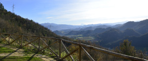 Al Canto Del Gallo